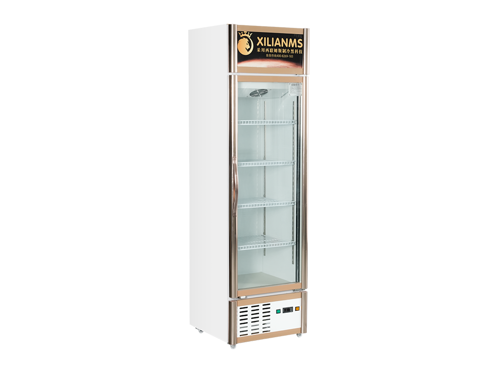 Gabinete de exhibición de congelador de puerta única