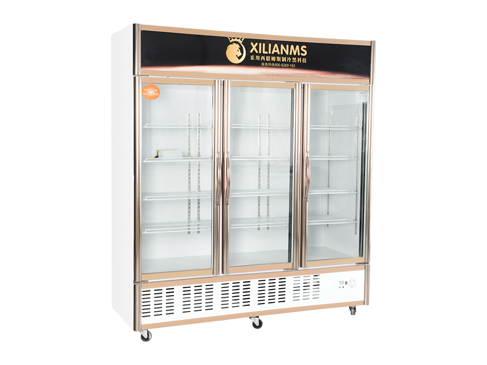 Gabinete de exhibición de congelador con puerta abierta (unidad inferior)